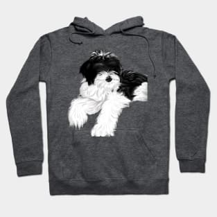 Doggy Hoodie